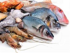 توسيع صادرات الثروة السمكية الإيرانية إلى أوروبا رهن بتشكيل لجنة مشتركة