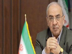 طلبات الإستثمارات الأجنبية في إيران تبلغ 8ر5 مليار دولار