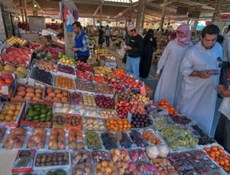 تواصل مسيرة التعاون الإقتصادي الإيراني مع قطر