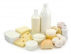 تصدير مشتقات لبنية إيرانية إلى الولايات المتحدة