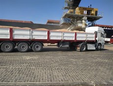 300 شاحنة ثقيلة تنقل القمح الهندي لأفغانستان عبر ميناء جابهار