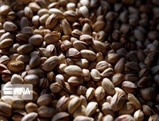 إيران.. صادرات المنتجات الزراعية تتخطى الـ8ر3 مليار دولار