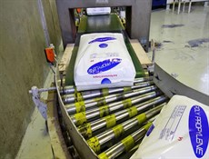 إنتاج قطاع البتروكيماويات الإيراني ينمو 7%