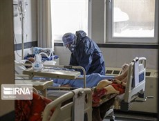 وزارة الصحة تعلن عن تسجيل 242 حالة وفاة جديدة بكورونا