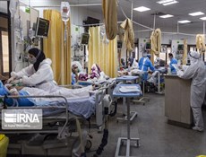 وزارة الصحة تعلن عن تسجيل 236 حالة وفاة جديدة بكورونا