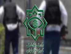حرب الجواسيس ضد البلاد مستمرة.. القوى الأمنية تضبط جاسوساً سويدياً
