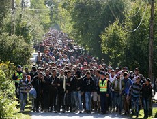 ألمانيا تعتقل لاجئين على علاقة بتنظيم داعش.. وتحذّر من قيامهم بأعمال إرهابية