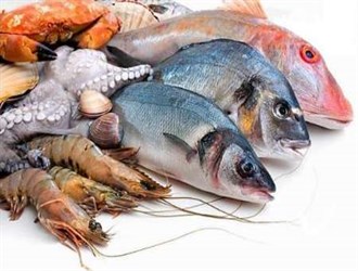 توسيع صادرات الثروة السمكية الإيرانية إلى أوروبا رهن بتشكيل لجنة مشتركة