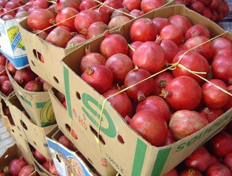 توقعات ببلوغ صادرات المنتجات الزراعية الإيرانية 7 مليارات دولار