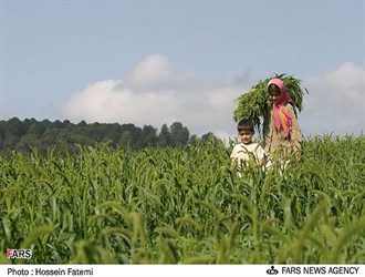 توقيع 4 وثائق للتعاون الزراعي بين إيران وفرنسا