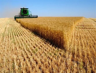 إيران تتوقع إنتاجاً سنوياً بنحو 5ر13 مليون طن من القمح