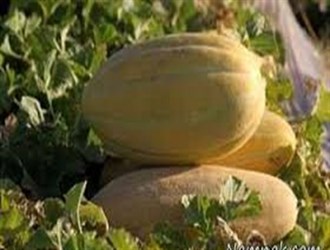 العراق يجيز استيراد أصناف من الخضروات والفواكه الإيرانية