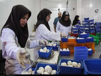 صادرات المنتجات الزراعية والغذائية الايرانية تسجل 1ر2 مليار دولار